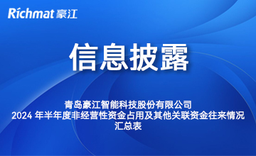 2024年半年度非经营性资金占用及其他关联资金往来情况汇总表